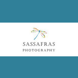 Sassafras Photography